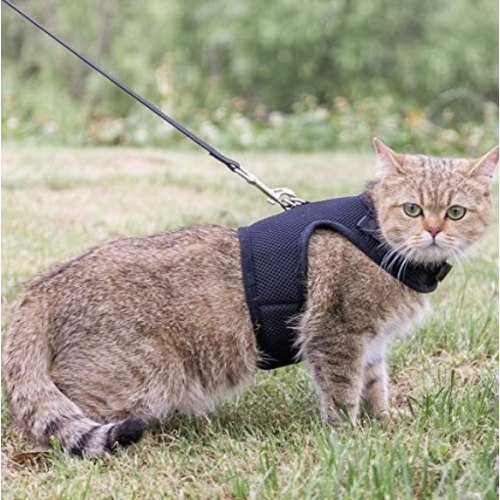 Haustierkatze-Kabelbaum mit Leine einstellbar