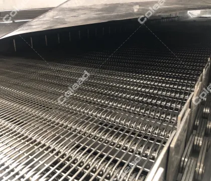 Date Palm Processing Line Heating Hot Dryer