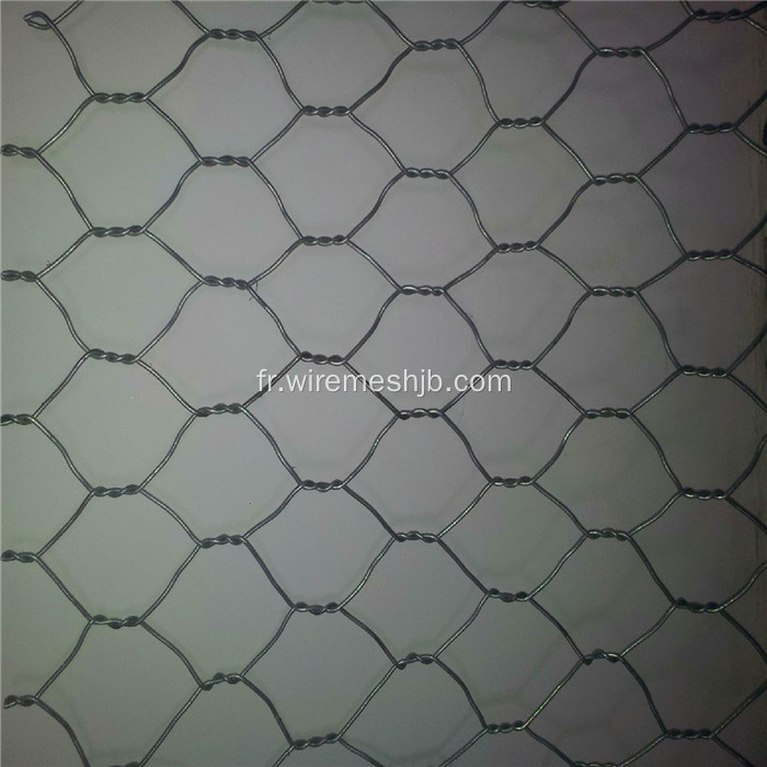 Treillis métallique hexagonal à coté de PVC pour la ferme