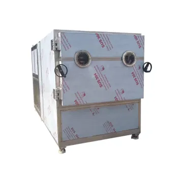 Vacuum Freeze Dryer for Vegetables Freeze Drying