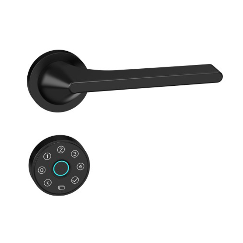 Smart door lock ODM