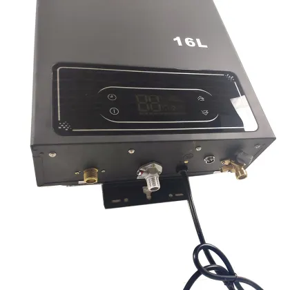 Secondary Energy Efficiency Balanced Gas Water Heater with Fashionable Design