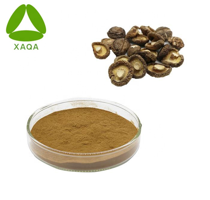 Shiitake Extract Powder 10% 50% de polissacarídeo