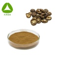 Shiitake -extract poeder 10% 50% polysaccharide