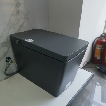 Smart Toilet with Bidet and WC Cleaning Function