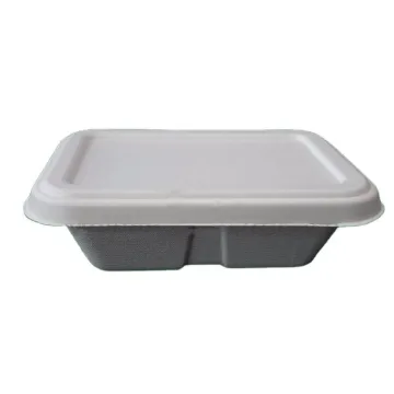 Sugarcane bagasse pulp biodegradable food box packaging