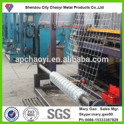 Ranch fence(Promotion)