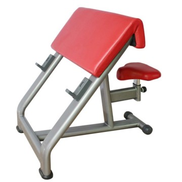 Professionell Gym Styrkeutrustning Scott Bench