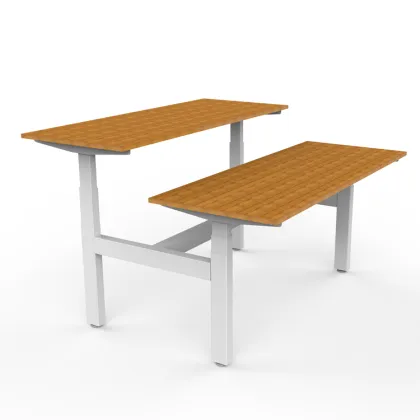 Furniture Double Motor Desk Computer For 2 Person