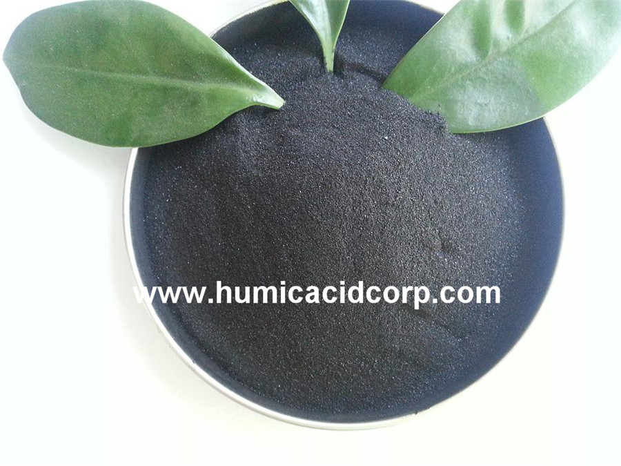 Potasium Humate Organic Fertilizer