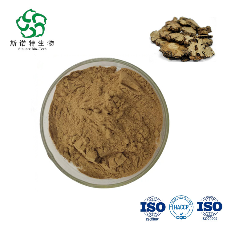 Extrato de planta natural LIGUSTICUM CHUANXiong Hort Extract