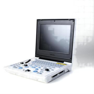 Laptop ultrasound equipment for bichon frise pregnancies