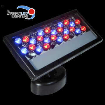 IP 65 RGB LED Wall Washer