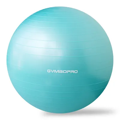 Anti Burst Custom Factory Professional Ball Balance Trainer