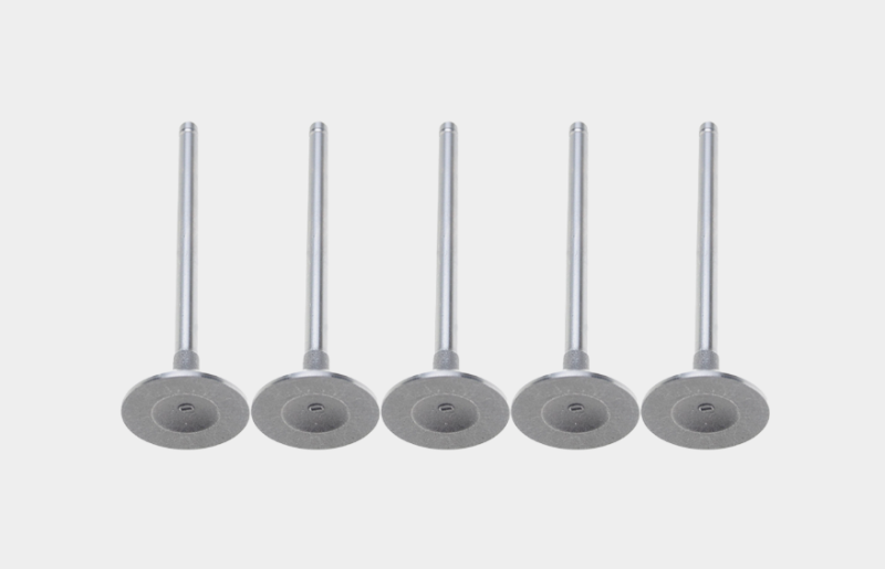 Intake Valves for Diesel & Gas Engines