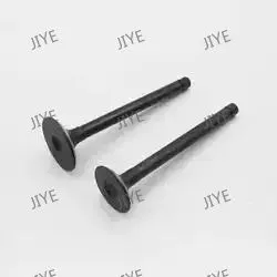 High Quality Replacement Valves for Kubota Diesel Engines
