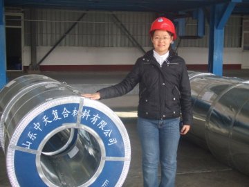 sell hot dipped galvanized steel coil