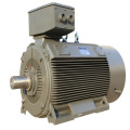 YVF3 variabele frequentie driefasige asynchrone motor