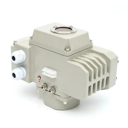 Electric actuator valve electric installation