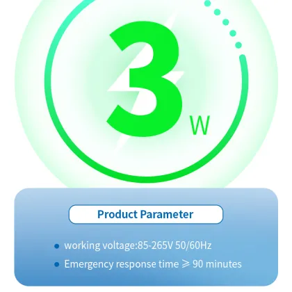 Exterior Emergency Egress Lighting Double Head