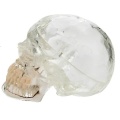 /msite/products/detail/productid/63591408/id/1517769.html