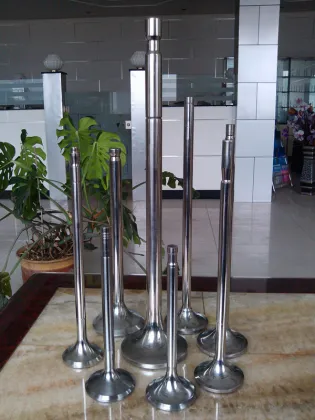 YANMAR Ship Diesel Engine Part Valve