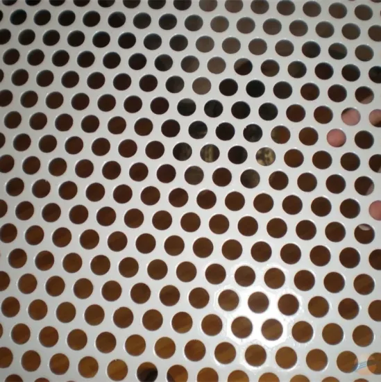 Custom 304 316 316L Stainless Steel Micron Hole Perforated Metal Sheet/Mesh