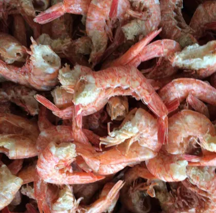 Red Dried Shrimp Wholesale