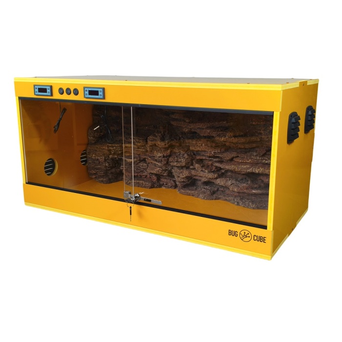 Tanques de répteis de PVC personalizados de cor de temperatura inteligente