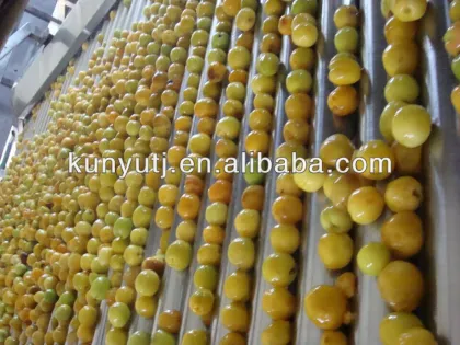apricot puree