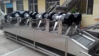 Dried Fruit Processing Line Dried Apricot Making Machine