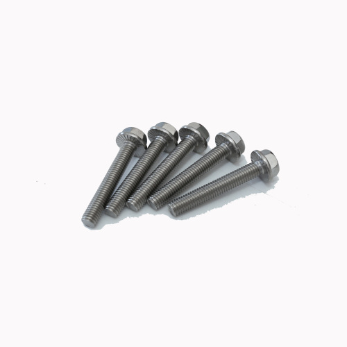 DIN6921 Aço inoxidável HEXAGON Head Flange Bolt