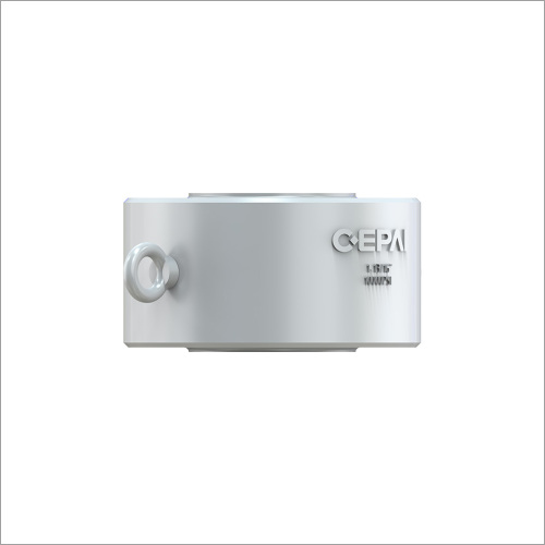 Double plate check valve