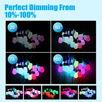 Multicolor LED Edison Bulb String Lights for Outdoor Garden Holiday Lighting