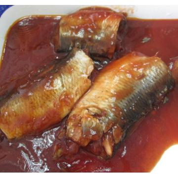 Herring Fish Canned In Tomato Sauce Chili