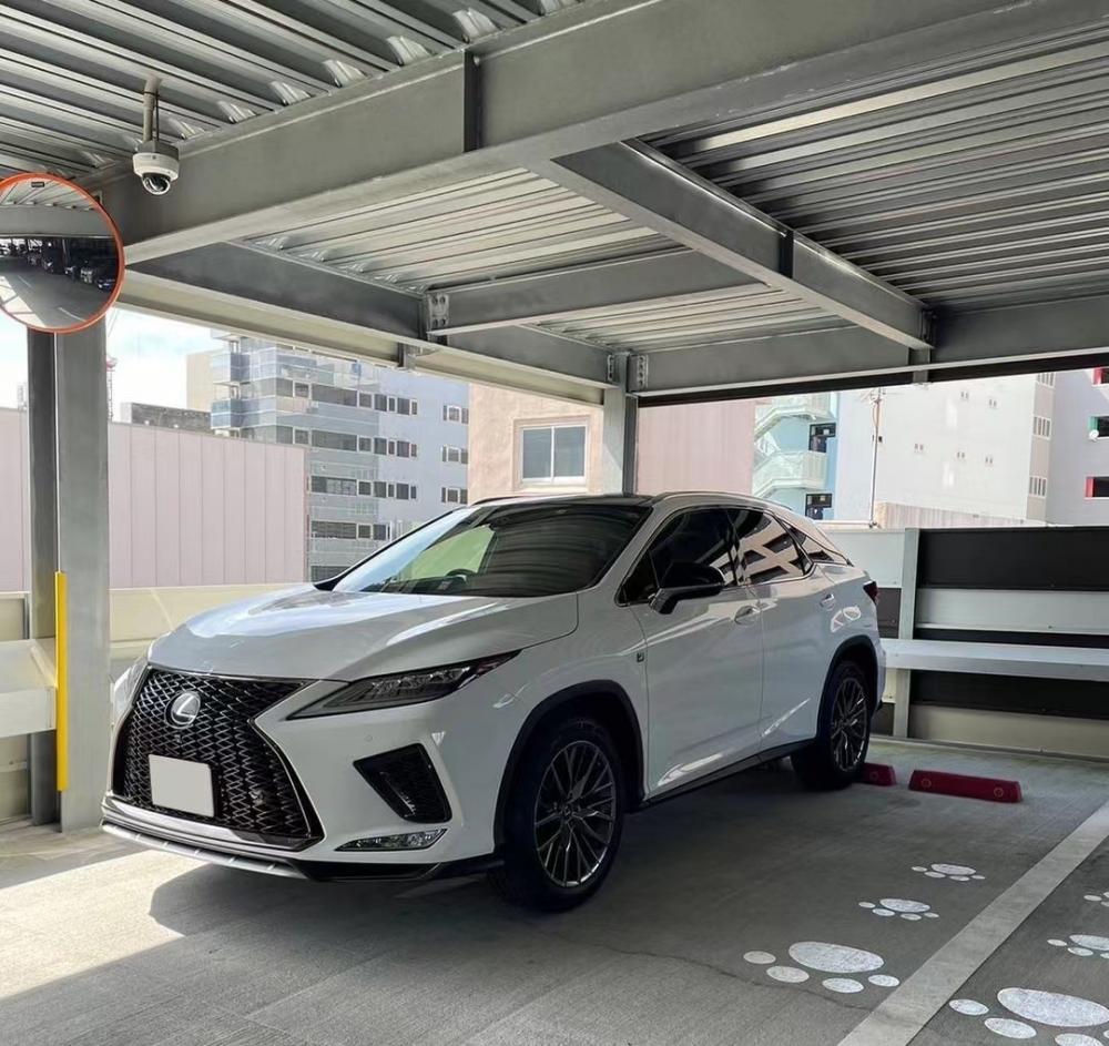 Lexus RXの3D RHDカスタムカーマット