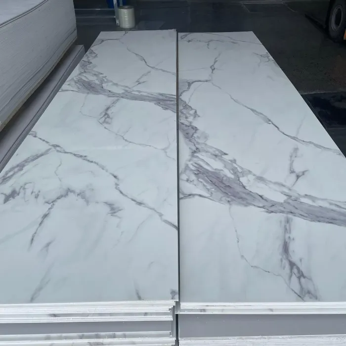 โครงการ ODM แผงผนังต่อต้านแบคทีเรีย SPC Bespoke