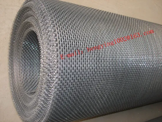 2014 Stainless Steel Wire Mesh 304 316L