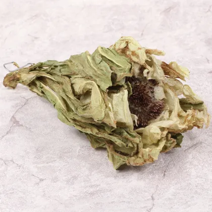 Herba Saussureae Involucratae xuelianhua Snow Lotus flower