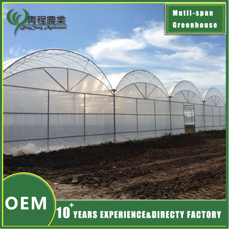 Multi Span Greenhouse with Double Layer Design