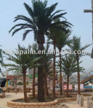 Artificial Phoenix canariensis Hort.ex.Chab