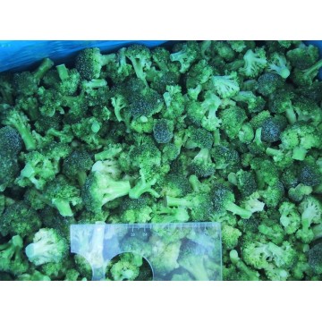 Frozen Fresh Broccoli Florets Vegetables