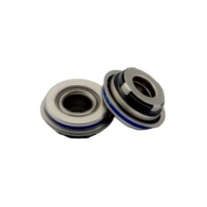 Flowserve Double Mechanical Seal Replacement: Aesseal Type 21 Parts