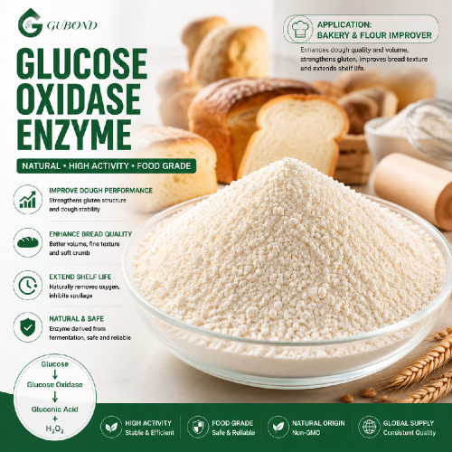 Polvo de enzima glucosa oxidasa para aplicaciones de procesamiento de alimentos y piensos