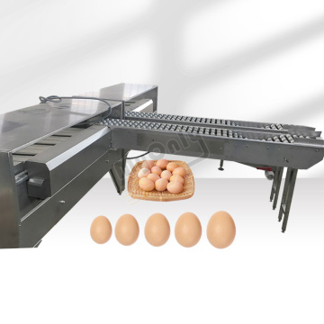 Automatic Chicken Egg Sorter by Weight and Size