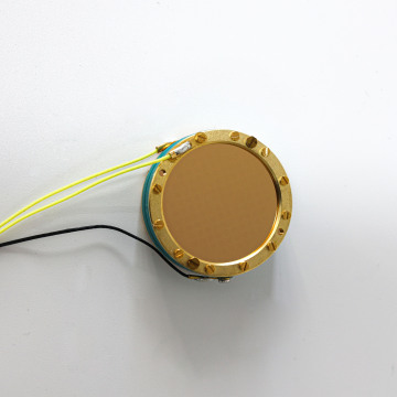 Professional Dual-Side Large Diaphragm Capsule