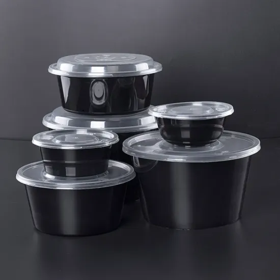 PP Plastic Disposable Lunch Box