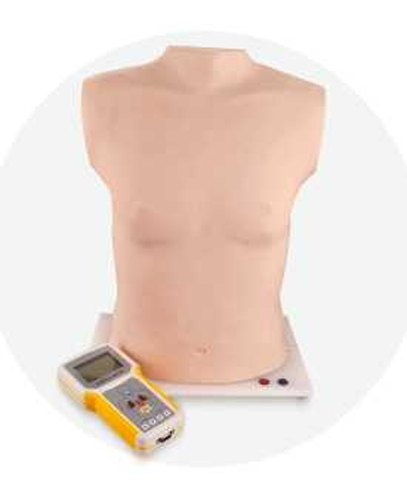 Cardiopulmonary Auscultation Manikin