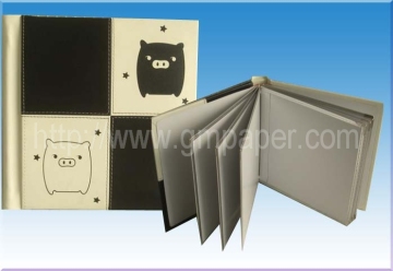 Photo album C8810