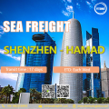 Freight di mare internazionale da Shenzhen a Hamad Qatar